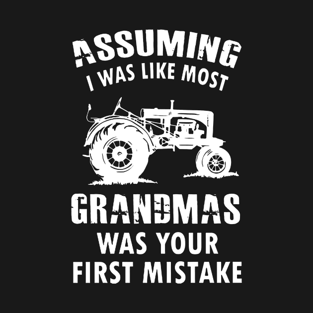Assuming I Was Like Most Grandmas Was Your First Mistake by Anite