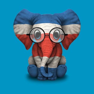 Baby Elephant with Glasses and Costa Rican Flag T-Shirt