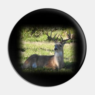 White-tailed Deer Pin