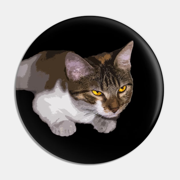 cat Pin by rickylabellevie