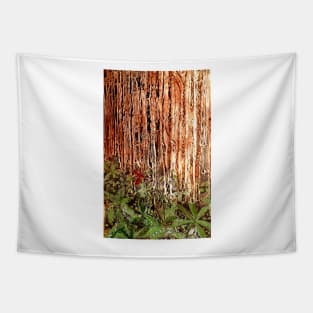 Rain Forest Tapestry