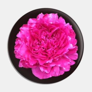 Bright Pink Peony in Full Bloom Pin