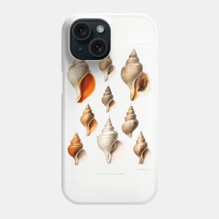 Molluscs of the Northern Seas Phone Case