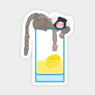 Marmoset with banana drink Magnet