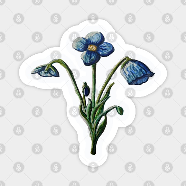 Himalayan Poppy Magnet by AlexandraRose