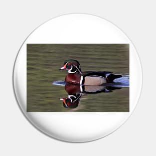 Wood Duck in the sun Pin