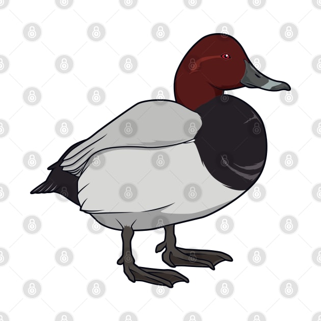 Drawing of Common pochard by Modern Medieval Design