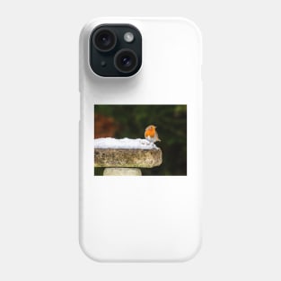 Robin on Snowy Birdbath Phone Case