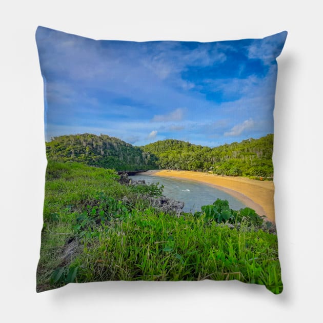 Lonely blue hut at Kasap lagoon sand beach Pillow by kall3bu