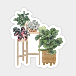 Plant Friends Illustration 2 Magnet