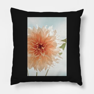 Oh, Hello x Modern botanical dahlia flower photograph Pillow