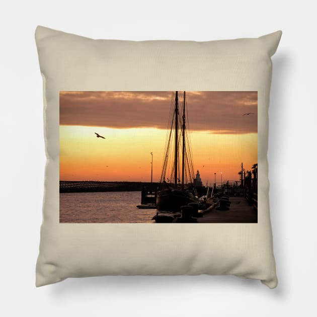 Several soaring seagulls at sunrise Pillow by Violaman