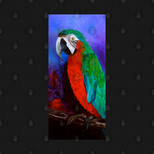 Macaw by jennyleeandjim