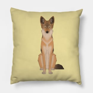 Black-Backed Jackal Pillow