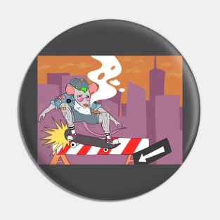 l8r sk8r Pin