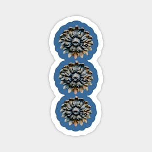 Architectural medallion Magnet