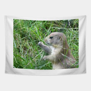 Cute Little Prairie Dog Tapestry