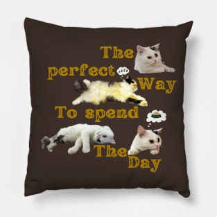 the perfect way to spend the day Pillow