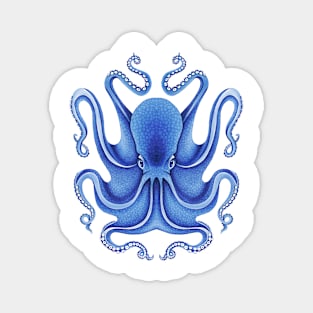 Blue Octopus Magnet