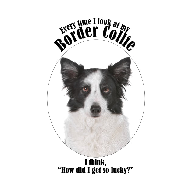 Lucky Border Collie by You Had Me At Woof