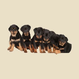 Sit Happens For Six Rottweiler Puppies Dog Lover Humor T-Shirt