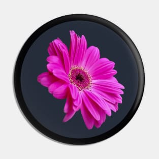 Pink Gerbera Daisy Flower Circle Frame Pin