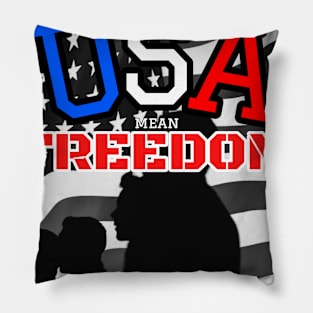 USA mean Freedom Pillow