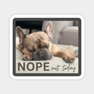 Nope Not Today - Cute Dog Design Magnet