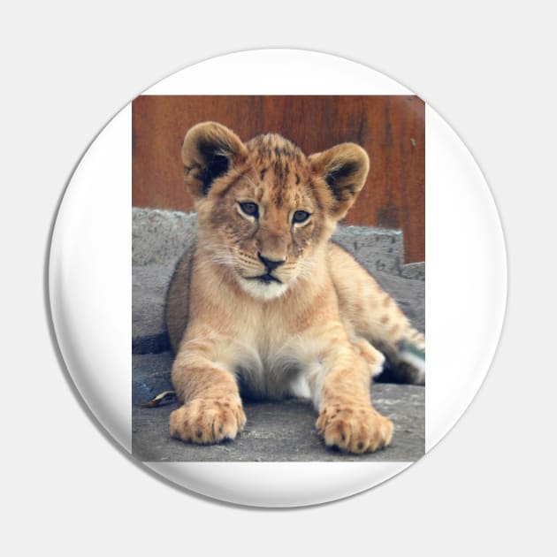 Lion Cub Pin by kirstybush