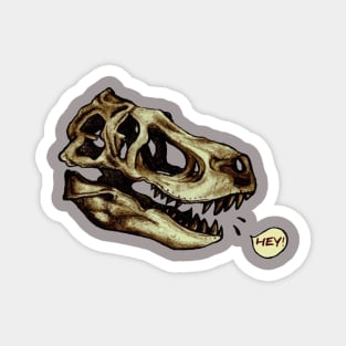 Dino Skull Magnet