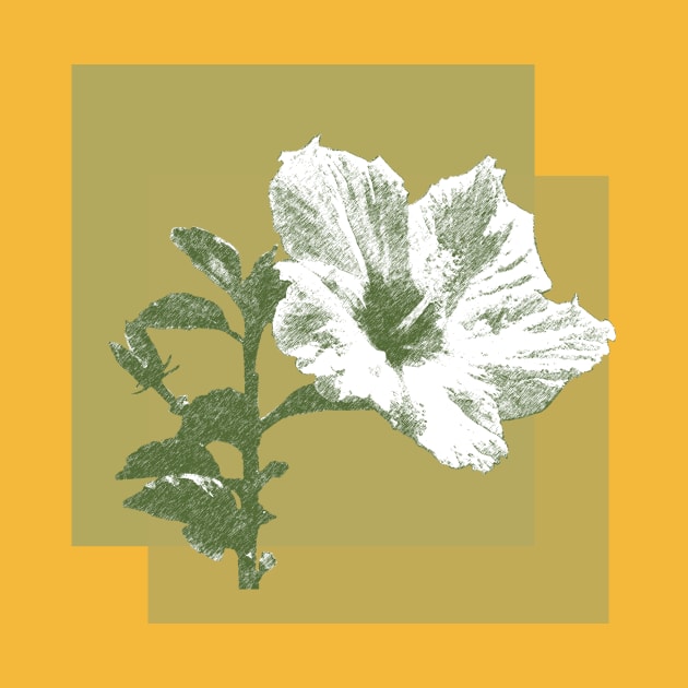 white hibiscus on yellow frame by Alina