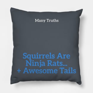 Squirrel truth Pillow