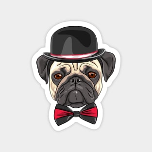 Dog fawn pug in a hat and bow tie Magnet