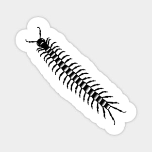 Centipede Magnet