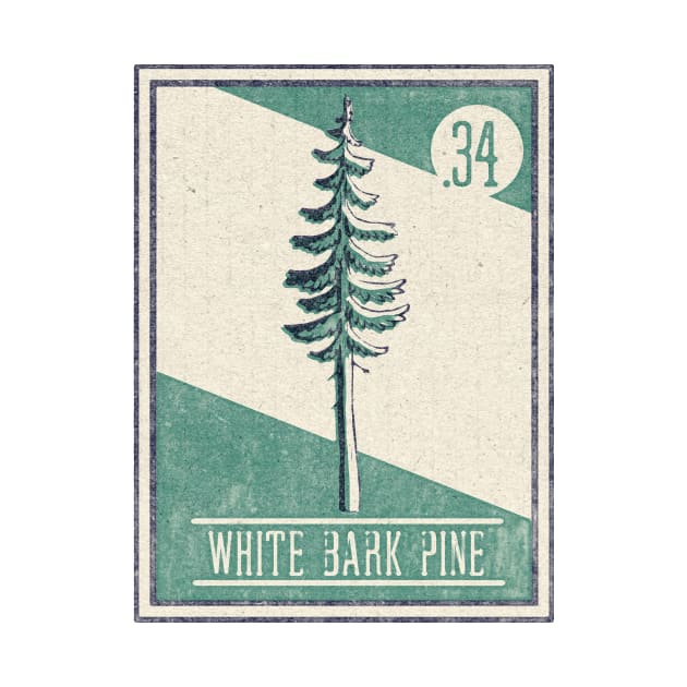 No. 34 White Bark Pine by theBenCorlett