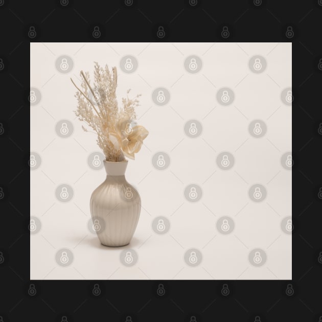 dried flowers on a pastel cream color background by graphic3000