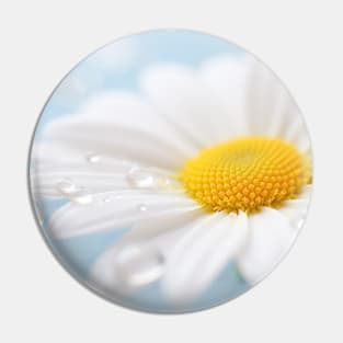 Daisy Flower Petal Nature Serene Tranqui Pin
