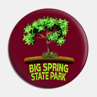 Big Spring State Park Pin
