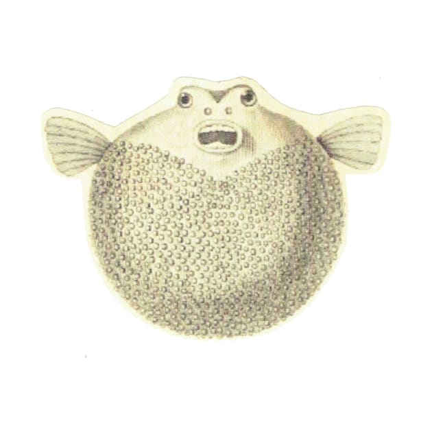 Vintage Pufferfish by bluespecsstudio