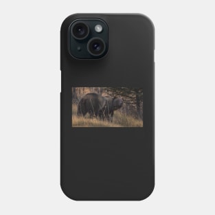 Grizzly Phone Case