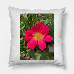 Pink rose flower Pillow