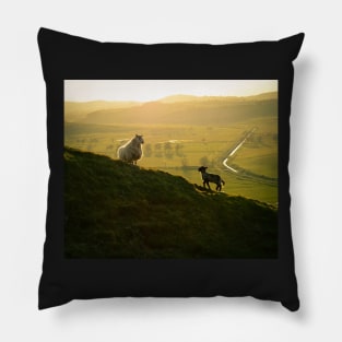 Scottish Sheep and Lamb Pillow