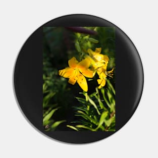 Yellow lily (Lilium) flower Pin