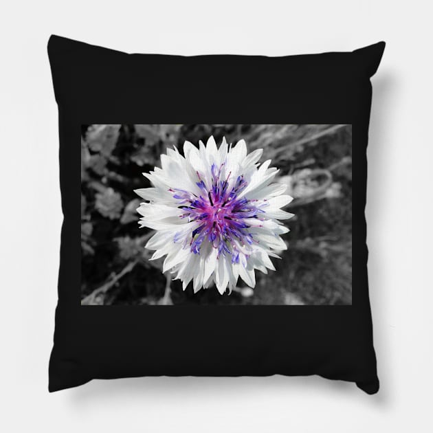 The White Cornflower Pillow by AH64D