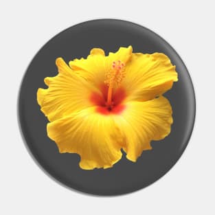 Yellow and Red Hibiscus Pin