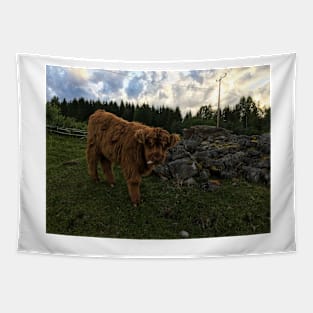 Scottish Highland Cattle Calf 1776 Tapestry