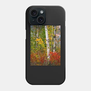 Fall colors Phone Case