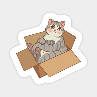 Tabby cat in the box Magnet