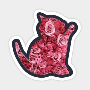 rose kitten Magnet