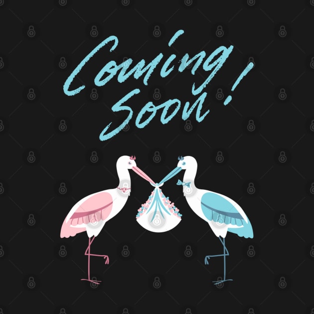 Mother's To Be, New Moms, Baby Announcement Cute, Storks, Coming Soon Design by BirdsnStuff